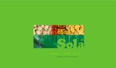 Solarium & Helios Ltd