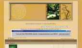 Elven forum