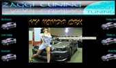 zaggituning.com