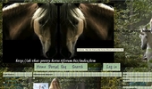 The best forum for horses