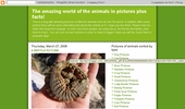 Pictures of animals from all over the world