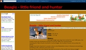 Beagle - little friend and hunter