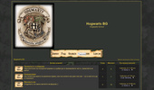 BG Hogwarts School