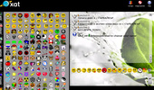 Online Chat BG Pacira-Forum