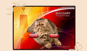 Bullgary