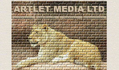 WEB ������ �  �������