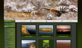 Mladvas Wildlife Photos