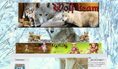 Wolf Team