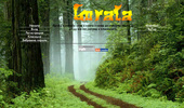 Gorata