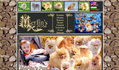 Merlin's Poms