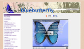 bluebutterfly