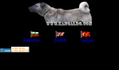 Welcome to WWW.KANGALBG.COM