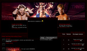 Total Nonstop Wrestling Game (TNWG)