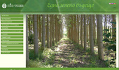 BIO TREE� ������������ �� ������������ �������� ������ �� ��� Paulownia