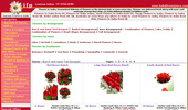 Flowers to India, Online Florist for India, Sending Flowers to India , Flowers delivery in India