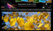 ������ ������� �� ������ - Profipicture.com