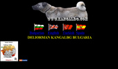 Kangalbg