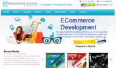Custome Ecommerce Development Company India - Perception System