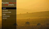 dimitryevtimov.com