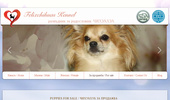 ��������� �� ��������  "Felixchihuas"