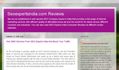 Seoexpertsindia.com Review