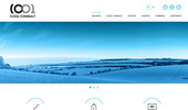 Cool Consult � ��������� ����������� �� ������
