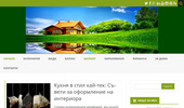 ���� ���� �� ������