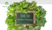 ��� ������������ �� ���� | Magical Herbs